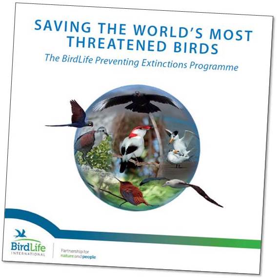 Critically Endangered Birds: A Global Audit